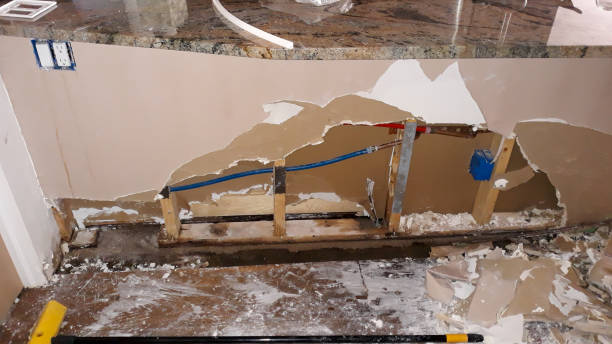 Best Water damage restoration mold remediation  in Scaggsville, MD