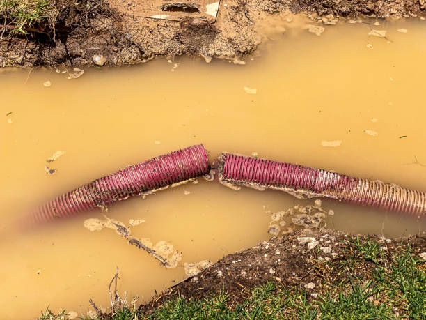 Trusted MD Water damage restoration Experts