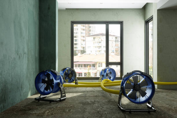 Best Fire Damage Restoration  in Scaggsville, MD