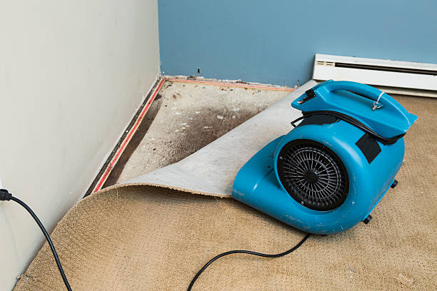 Best Mold removal after water damage  in Scaggsville, MD